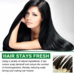 Garlic Rosemary Shampoo Deep Dandruff Removal Cleaning Oil Control Nourishing Strengthening Hair Roots Repair Damage Hair Care - Image 5