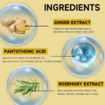 Ginger Refreshing Shampoo 2Set Oil Control 72H, Scalp Cooling, Volumizing, for Oily/Fine Hair Types Travel-Friendly Size 100ml - Image 2