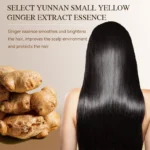 Silky Supple Shampoo Hair Oil Ginger Essence Natural Extract Smooth Mild Formula Itch Protect Moisturizes Nourishes Clears 500ml - Image 6