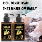 Ginger Refreshing Shampoo 2Set Oil Control 72H, Scalp Cooling, Volumizing, for Oily/Fine Hair Types Travel-Friendly Size 100ml