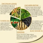 Long Lasting Hair Color Shampoo 3 in 1 Black Hair Dye Shampoo for Women&Men Natural Herbal Safety Cover White Gray Hair Cream - Image 4