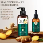 Silky Supple Shampoo Hair Oil Ginger Essence Natural Extract Smooth Mild Formula Itch Protect Moisturizes Nourishes Clears 500ml - Image 4