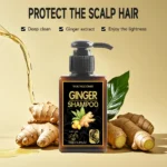 Ginger Refreshing Shampoo 2Set Oil Control 72H, Scalp Cooling, Volumizing, for Oily/Fine Hair Types Travel-Friendly Size 100ml - Image 5
